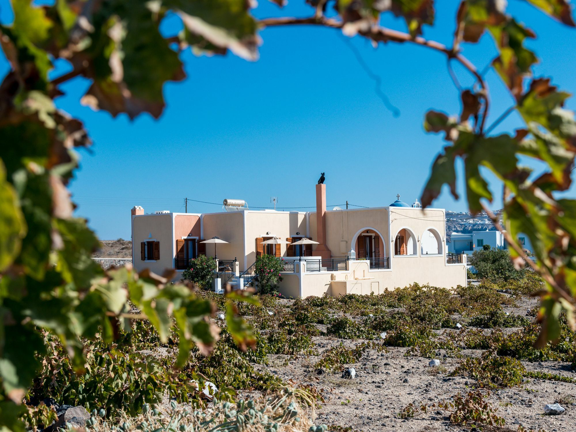 Vineyard Exclusive Suites Ακρωτήρι Εξωτερικό φωτογραφία
